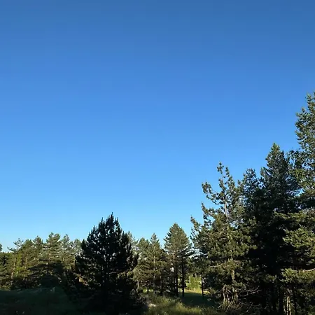 Bubamara Divcibare