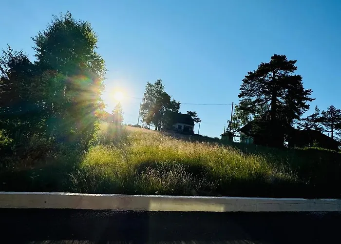 Bubamara * Divcibare